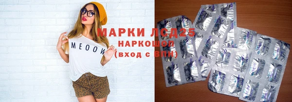 ГАЛЛЮЦИНОГЕННЫЕ ГРИБЫ Няндома