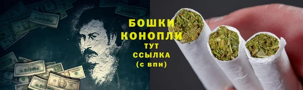 индика Зеленодольск