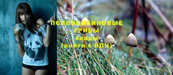 бошки Нягань