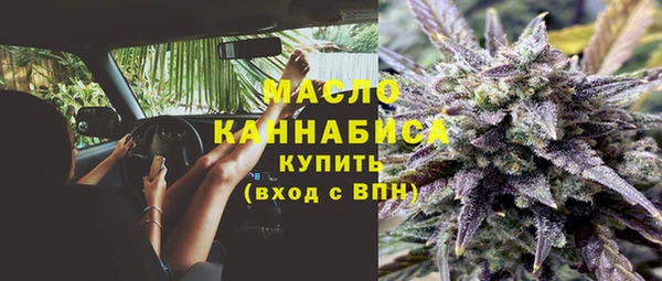 индика Зеленодольск