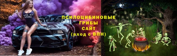 бошки Нягань