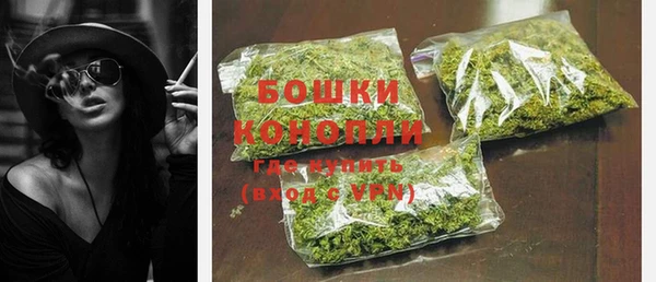 ГАЛЛЮЦИНОГЕННЫЕ ГРИБЫ Няндома