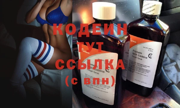 индика Зеленодольск