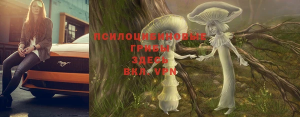 ГАЛЛЮЦИНОГЕННЫЕ ГРИБЫ Няндома