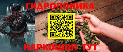 каннабис Кингисепп