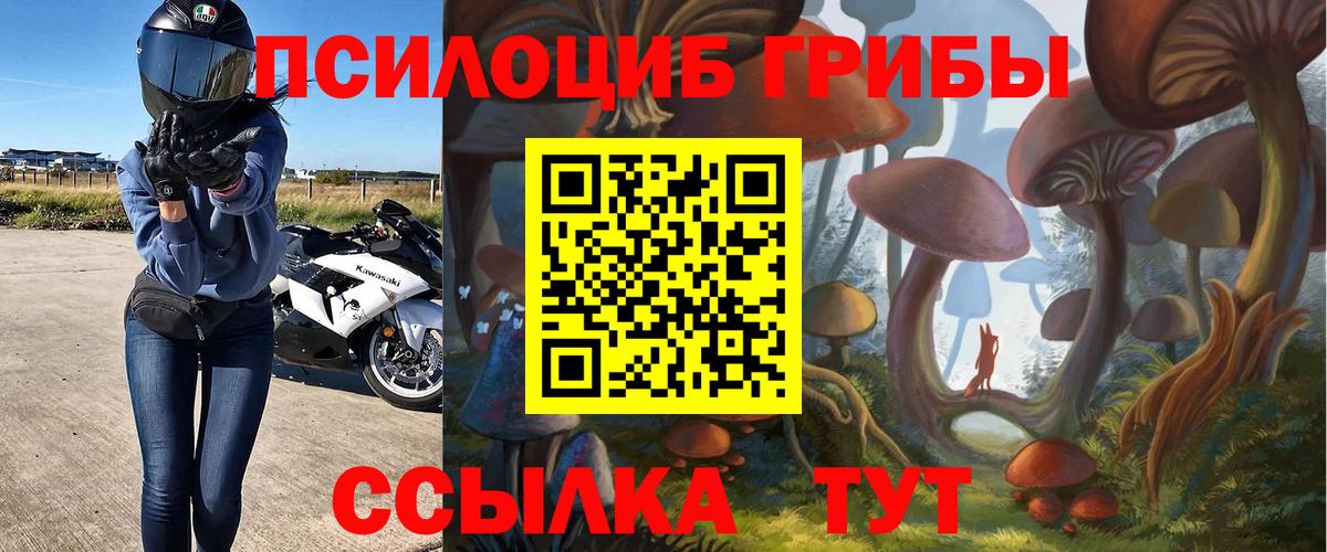 Псилоцибиновые грибы ЛСД Протвино