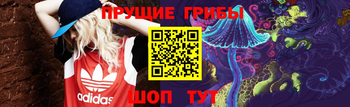 Псилоцибиновые грибы ЛСД  Псилоцибиновые грибы Cubensis  Вход с VPN  Протвино 